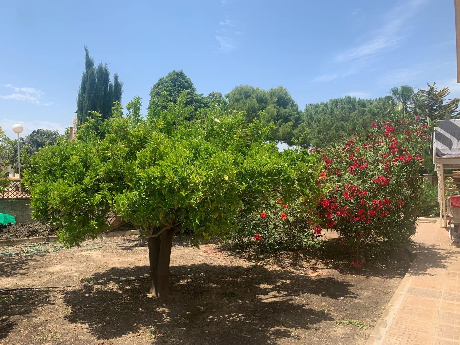 3 Zimmer Villa zu verkaufen in Muchamiel / Mutxamel mit Pool Garage - 592.000 € (Ref: 9998119)