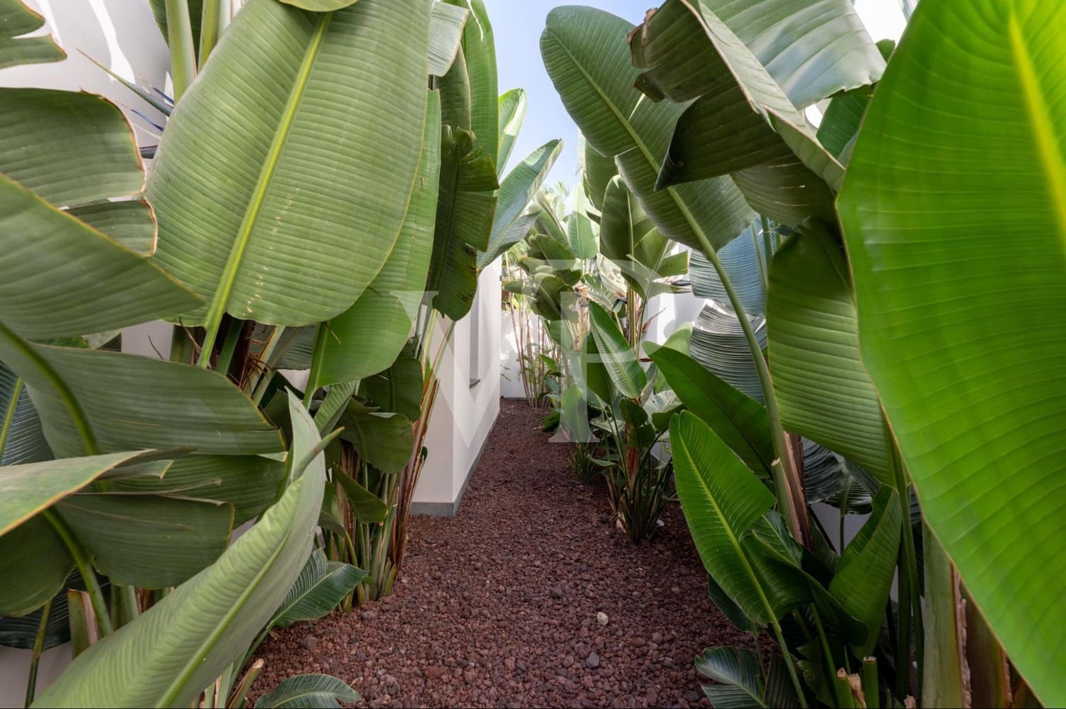 3 slaapkamer Huis te koop in Adeje met zwembad - € 5.900.000 (Ref: 9481939)