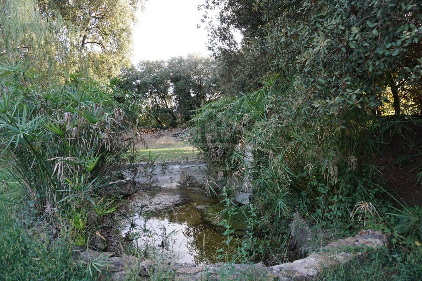 7 soverom Finca/Herregård til salgs i Llagostera med svømmebasseng garasje - € 1 490 000 (Ref: 8585355)