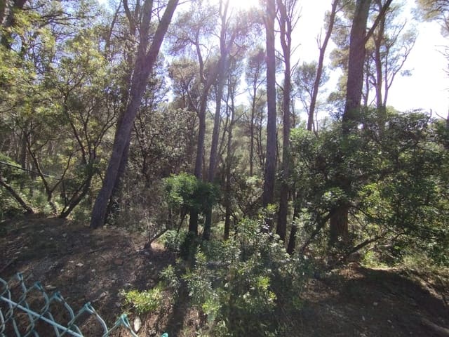 Building Plot for sale in Sa Riera, Begur - € 500,000 (Ref: 8585362)
