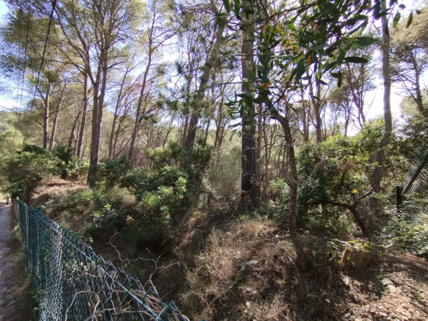 Działka budowlana na sprzedaż w Sa Riera - 500 000 € (Ref: 8585362)