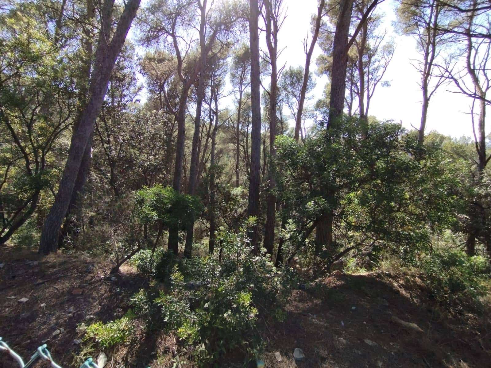 Działka budowlana na sprzedaż w Sa Riera - 500 000 € (Ref: 8585362)