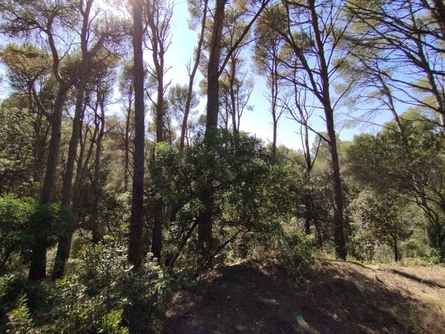 Building Plot for sale in Sa Riera, Begur - € 500,000 (Ref: 8585362)
