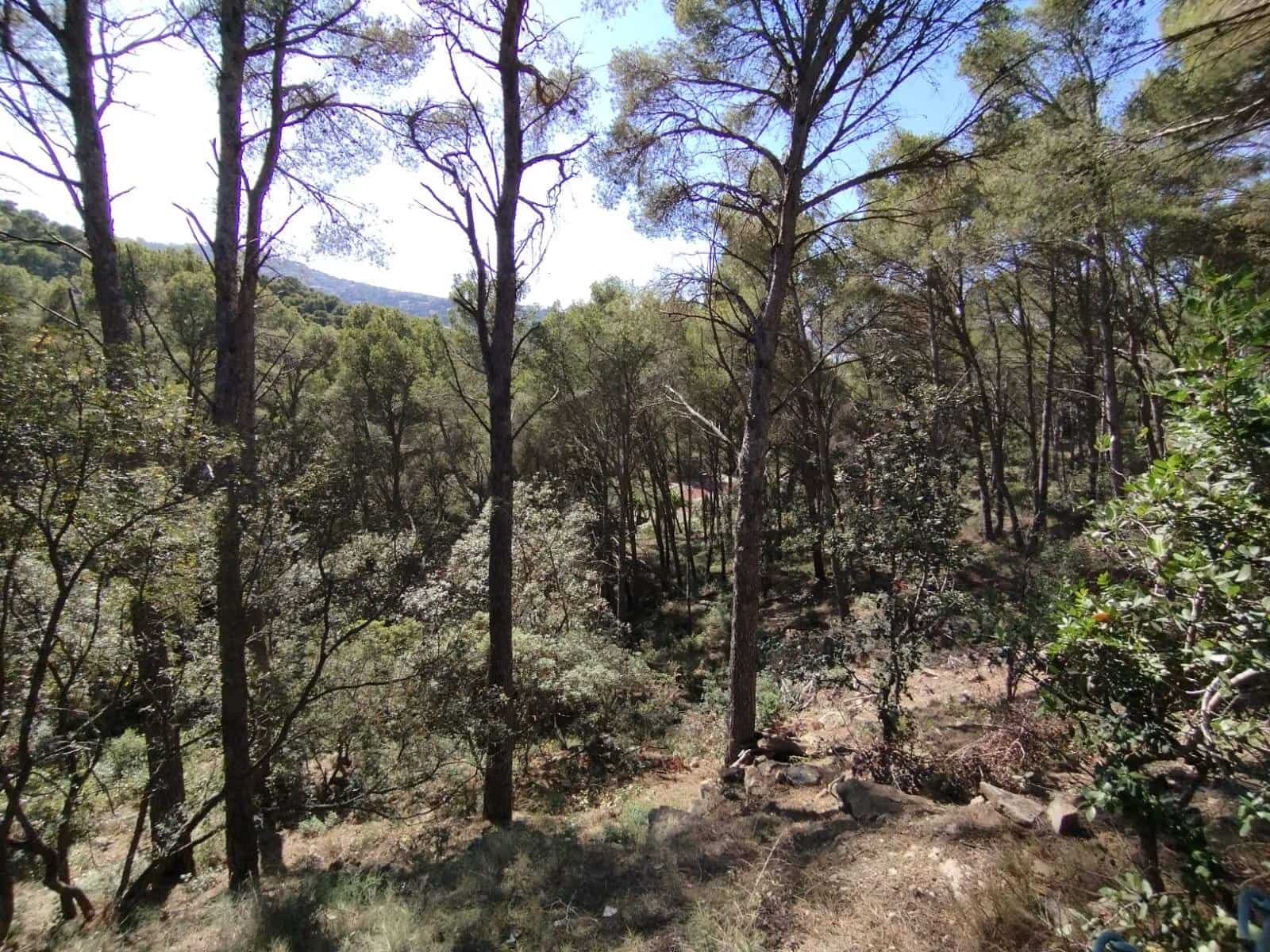 Działka budowlana na sprzedaż w Sa Riera - 500 000 € (Ref: 8585362)