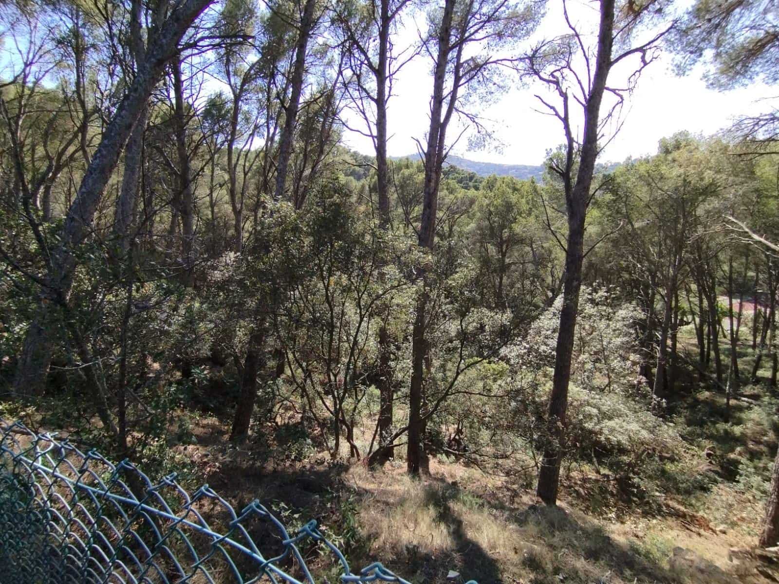 Działka budowlana na sprzedaż w Sa Riera - 500 000 € (Ref: 8585362)