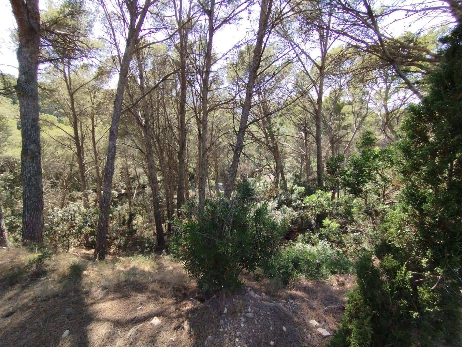 Działka budowlana na sprzedaż w Sa Riera - 500 000 € (Ref: 8585362)