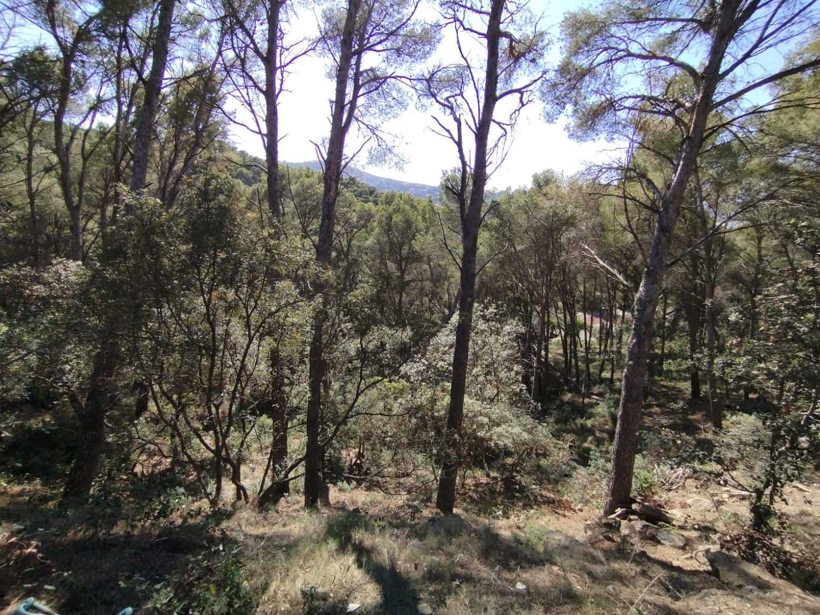 Działka budowlana na sprzedaż w Sa Riera - 500 000 € (Ref: 8585362)