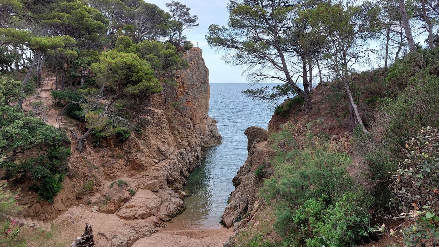 3 makuuhuone Huoneisto myytävänä paikassa Santa Cristina d'Aro mukana uima-altaan 
autotalli - 340 000 € (Ref: 8585376)