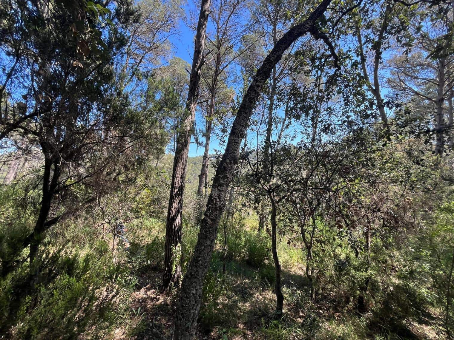 Bouwgrond te koop in Tamariu - € 320.000 (Ref: 8585385)