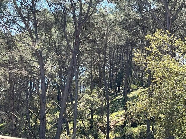 Building Plot for sale in Tamariu, Palafrugell - € 320,000 (Ref: 8585385)