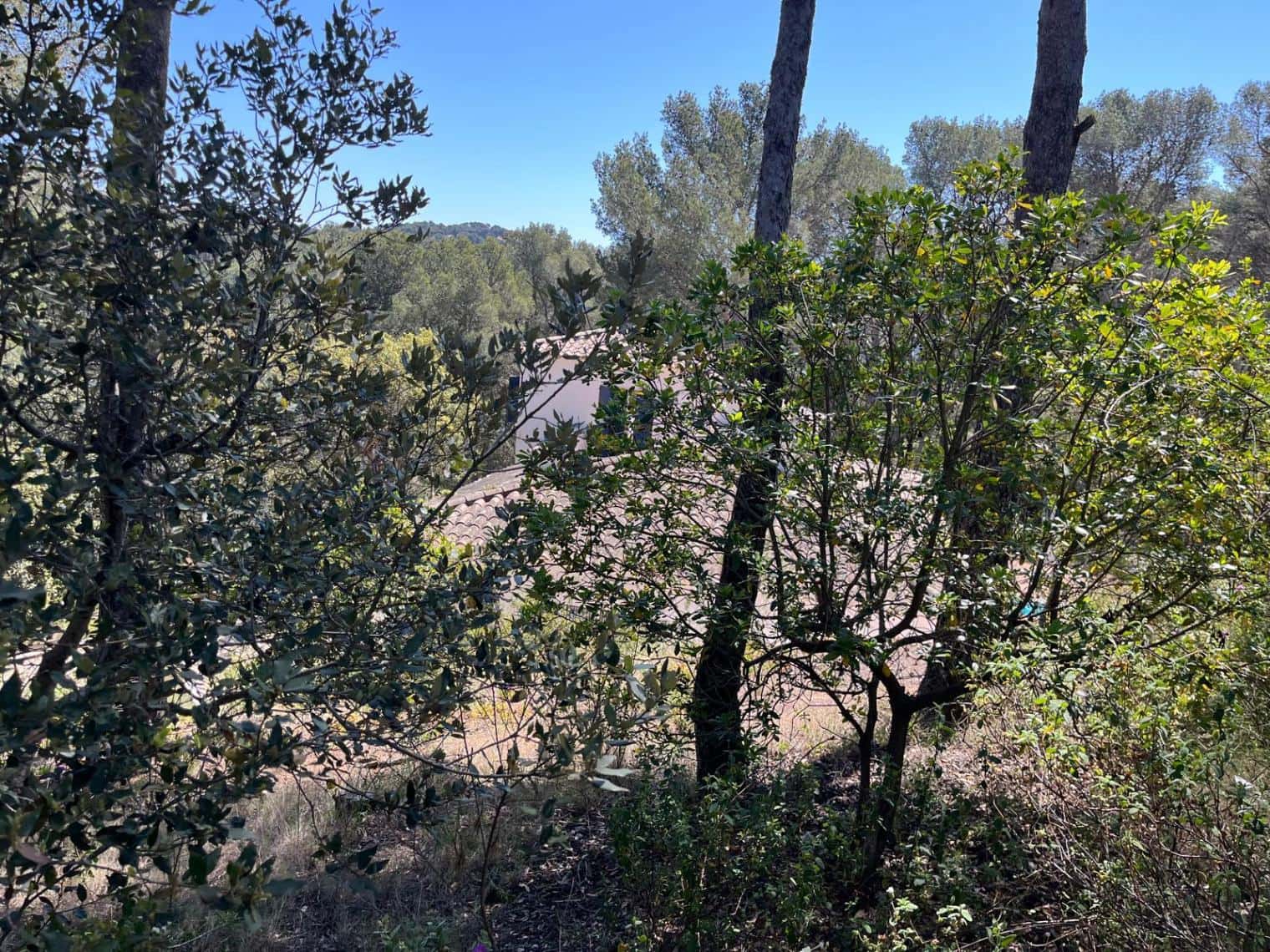 Bouwgrond te koop in Tamariu - € 320.000 (Ref: 8585385)