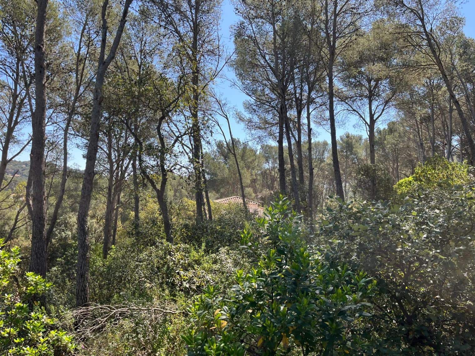 Bouwgrond te koop in Tamariu - € 320.000 (Ref: 8585385)