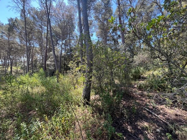 Building Plot for sale in Tamariu, Palafrugell - € 320,000 (Ref: 8585385)