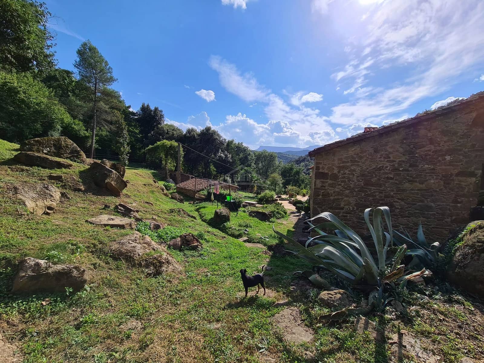 4 soveværelse Finca/Landehus til salg i Sant Aniol de Finestres med swimmingpool - € 800.000 (Ref: 8585386)