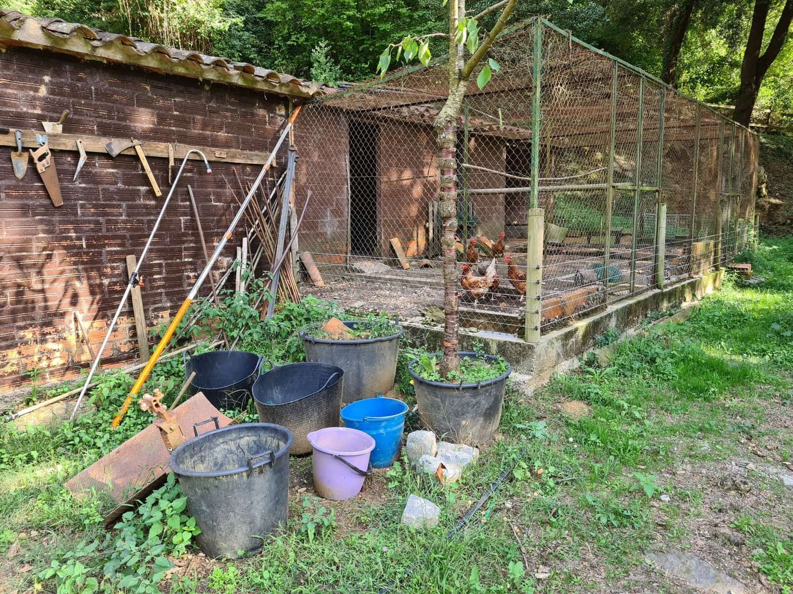 4 soveværelse Finca/Landehus til salg i Sant Aniol de Finestres med swimmingpool - € 800.000 (Ref: 8585386)