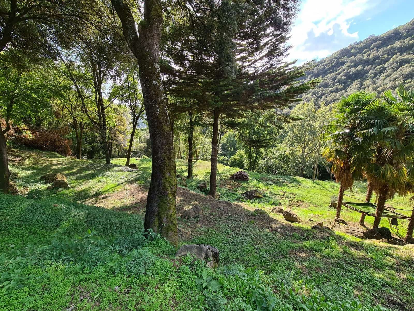 4 soveværelse Finca/Landehus til salg i Sant Aniol de Finestres med swimmingpool - € 800.000 (Ref: 8585386)