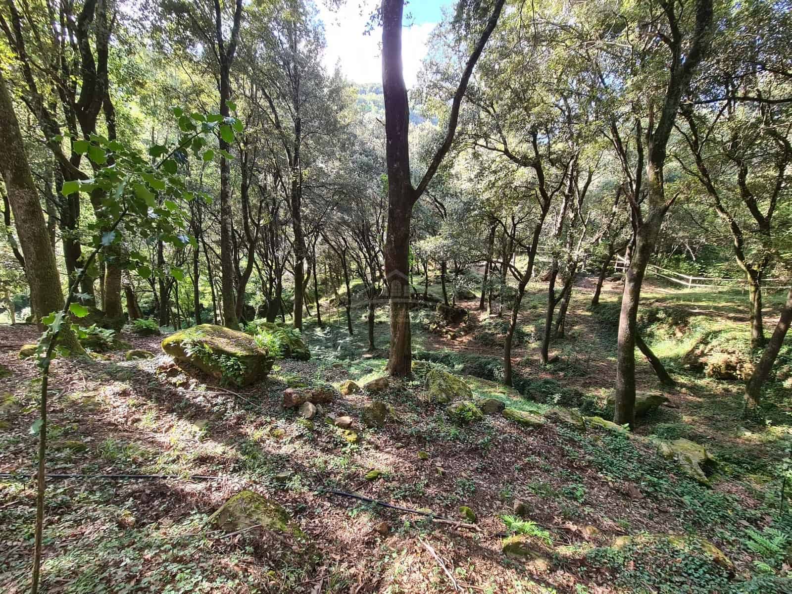 4 soveværelse Finca/Landehus til salg i Sant Aniol de Finestres med swimmingpool - € 800.000 (Ref: 8585386)