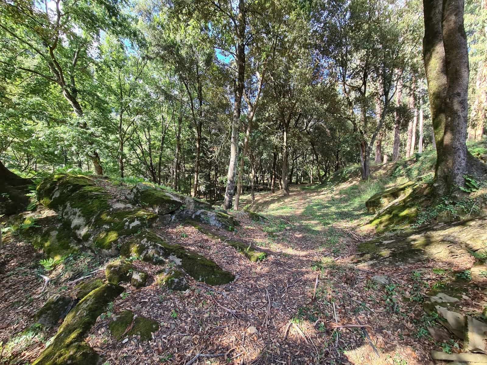 4 soveværelse Finca/Landehus til salg i Sant Aniol de Finestres med swimmingpool - € 800.000 (Ref: 8585386)