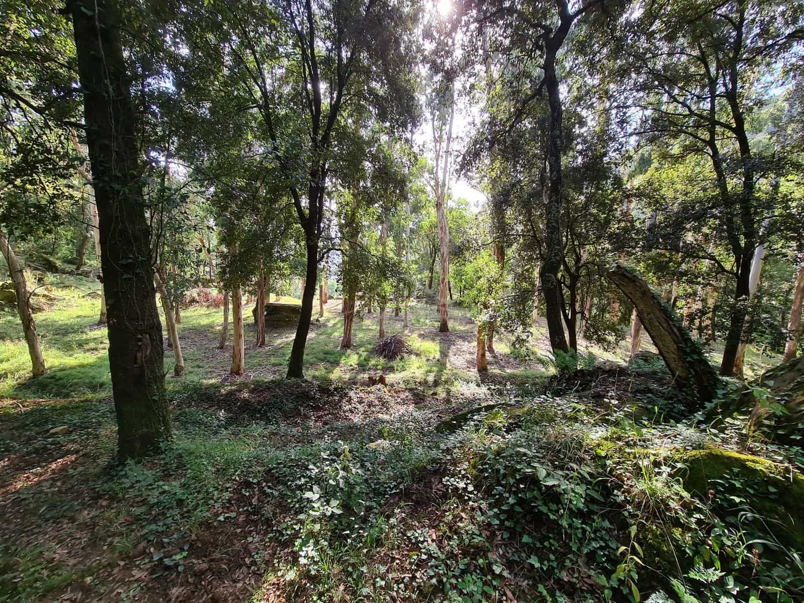 4 soveværelse Finca/Landehus til salg i Sant Aniol de Finestres med swimmingpool - € 800.000 (Ref: 8585386)