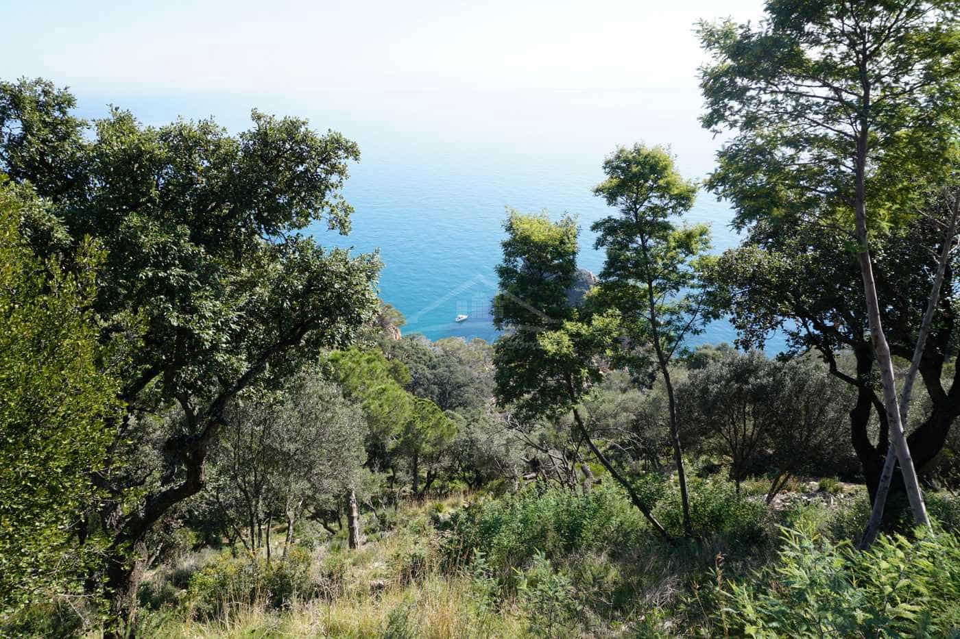 Bouwgrond te koop in Sant Feliu de Guixols - € 3.975.000 (Ref: 8585393)