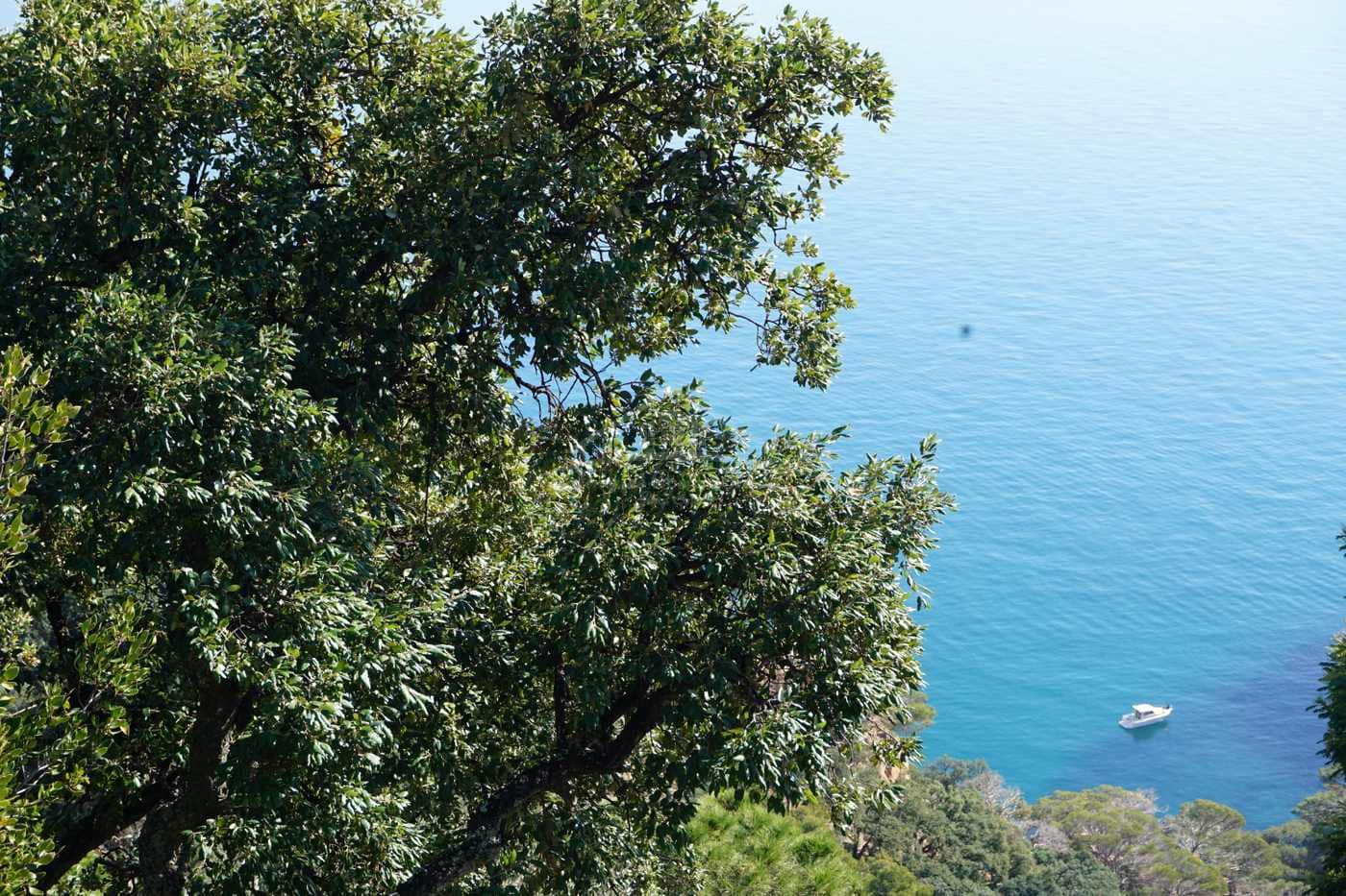 Bouwgrond te koop in Sant Feliu de Guixols - € 3.975.000 (Ref: 8585393)