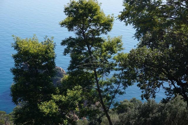 Building Plot for sale in Sant Feliu de Guíxols - € 3,975,000 (Ref: 8585393)