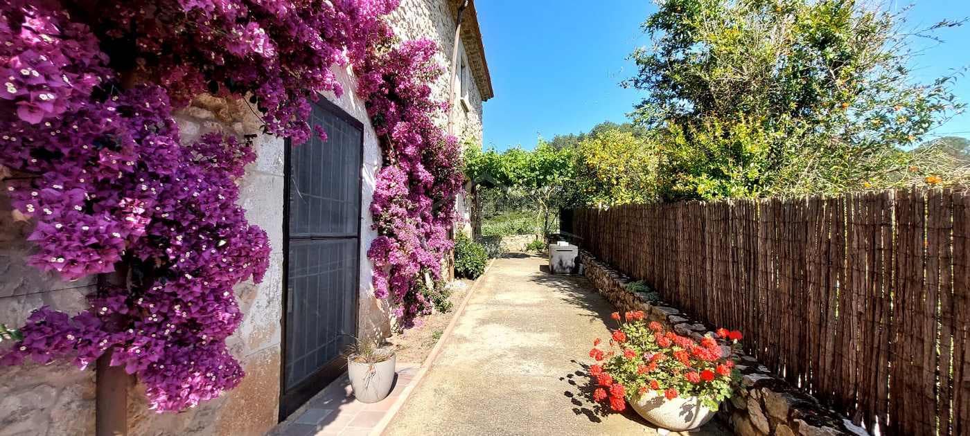 6 chambre Finca/Maison de Campagne à vendre à Begur - 1 650 000 € (Ref: 8586800)