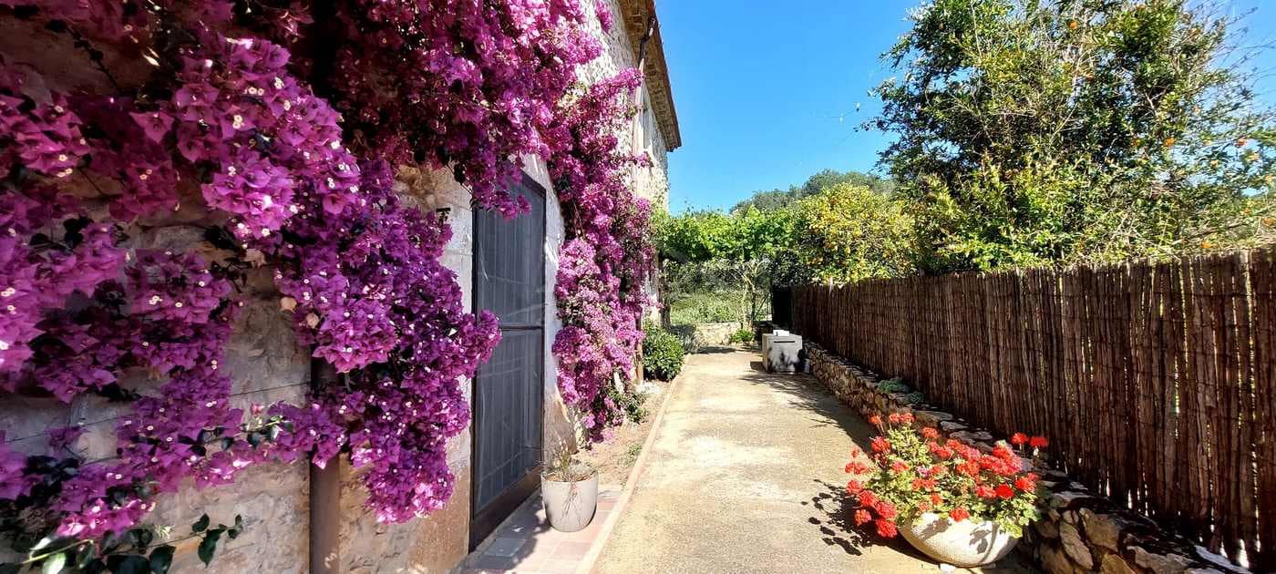 6 chambre Finca/Maison de Campagne à vendre à Begur - 1 650 000 € (Ref: 8586800)