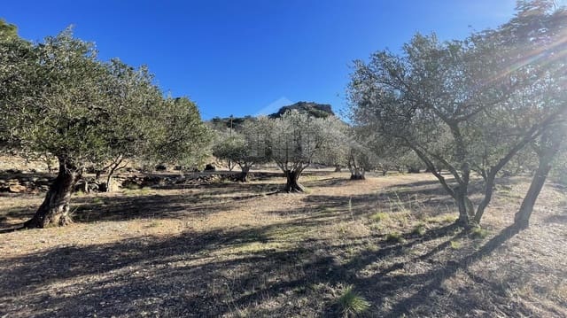 Maalaistalo myytävänä paikassa Llançà - 595 000 € (Ref: 8586803)