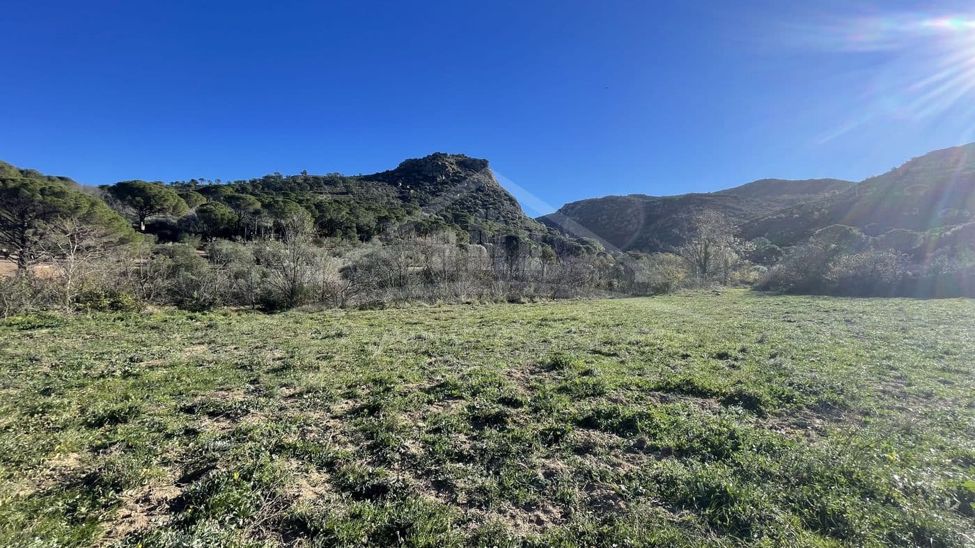 Finka/Dom wiejski na sprzedaż w Llanca - 595 000 € (Ref: 8586803)