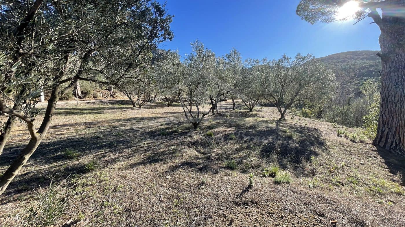 Finka/Dom wiejski na sprzedaż w Llanca - 595 000 € (Ref: 8586803)