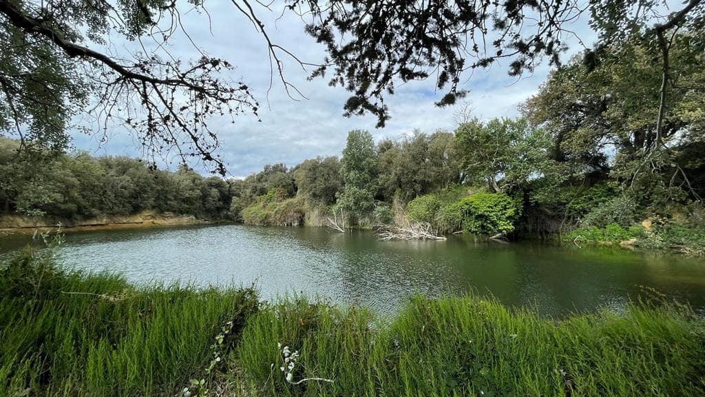 Finca/Landehus til salg i Vilamalla - € 3.900.000 (Ref: 8586816)