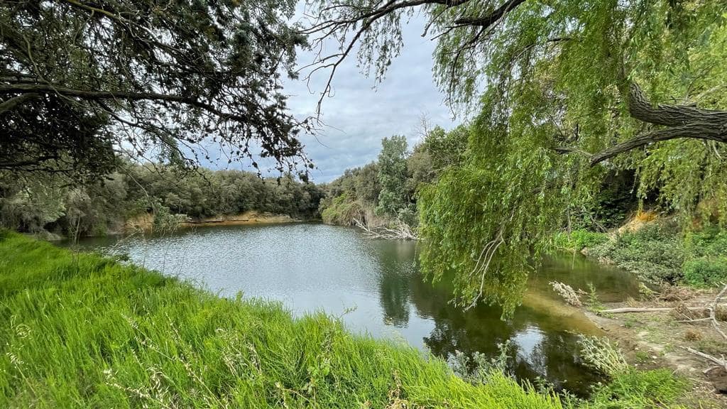 Finca/Landehus til salg i Vilamalla - € 3.900.000 (Ref: 8586816)