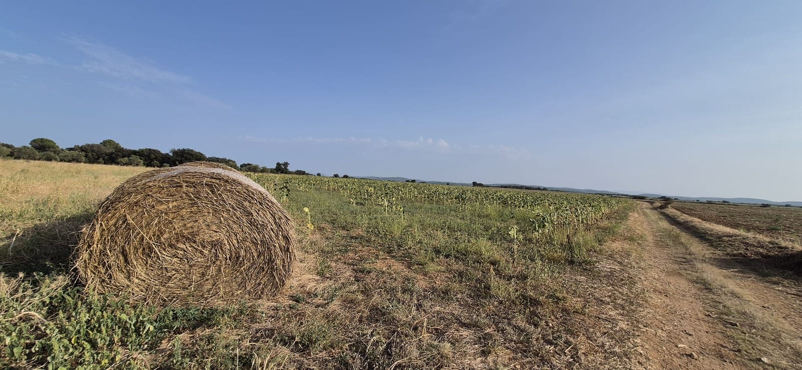 Finca/Landehus til salg i Vilamalla - € 3.900.000 (Ref: 8586816)