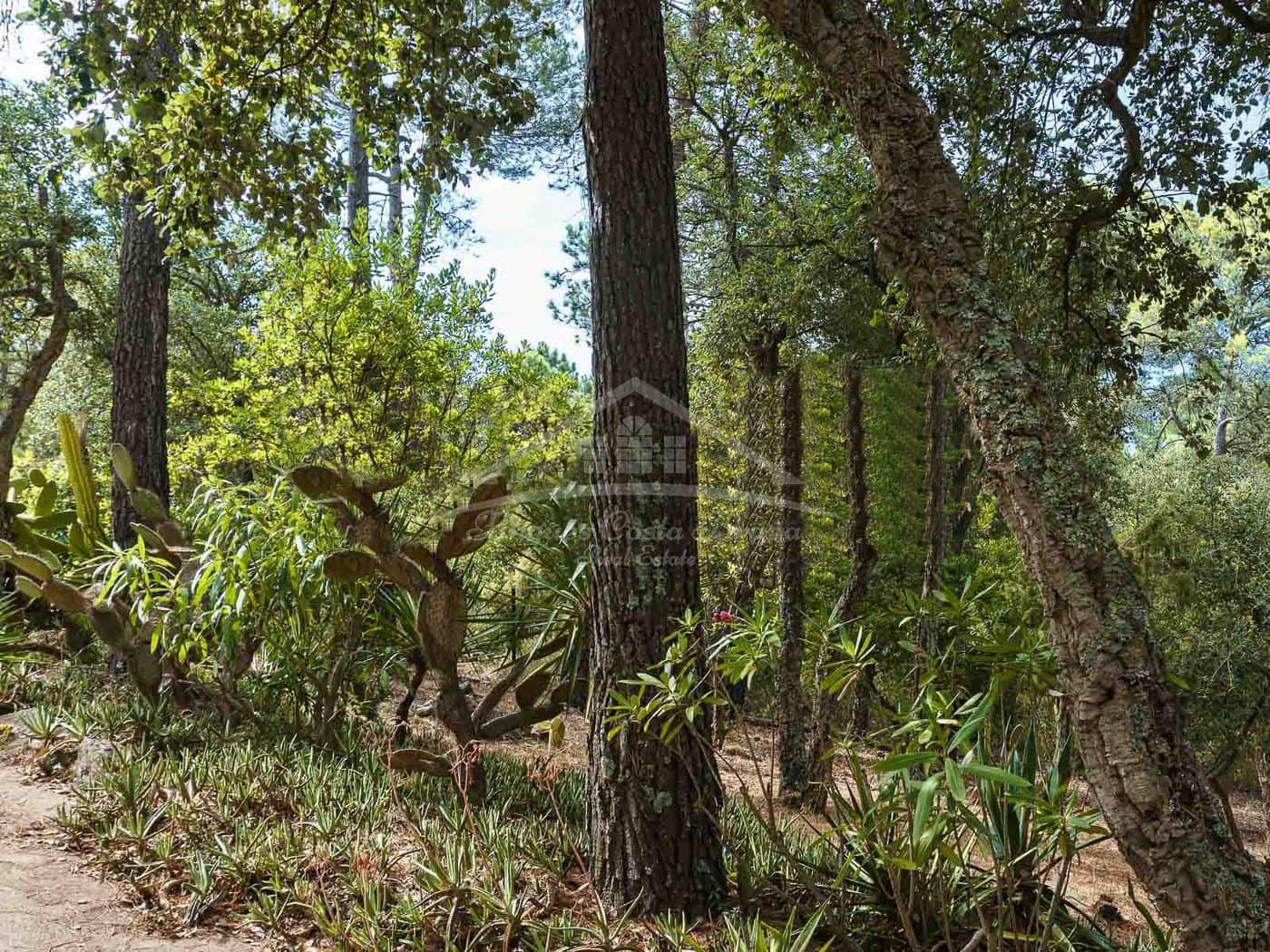 1 soveværelse Finca/Landehus til salg i Palafrugell med garage - € 120.000 (Ref: 8586859)