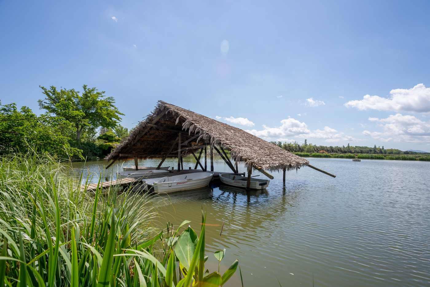 23 sypialnia Finka/Dom wiejski na sprzedaż w Figueres z garażem - 11 000 000 € (Ref: 9115552)