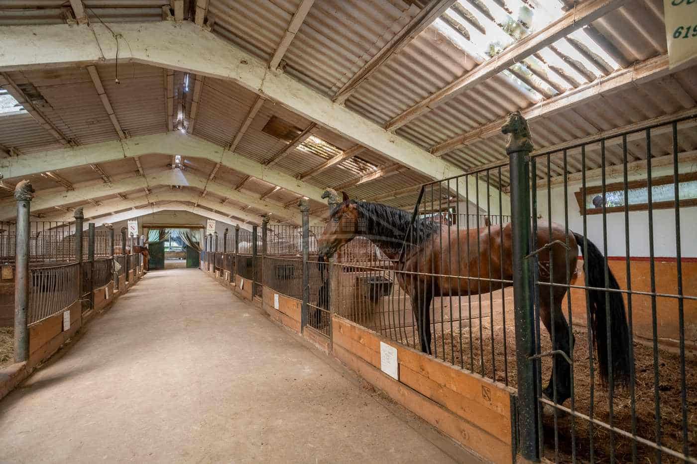 23 sypialnia Finka/Dom wiejski na sprzedaż w Figueres z garażem - 11 000 000 € (Ref: 9115552)