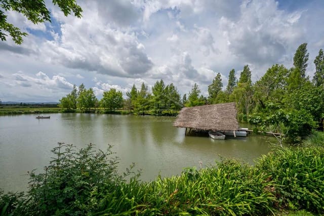 23 sypialnia Finka/Dom wiejski na sprzedaż w Figueres z garażem - 11 000 000 € (Ref: 9115552)