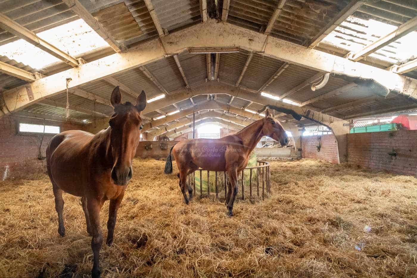 23 sypialnia Finka/Dom wiejski na sprzedaż w Figueres z garażem - 11 000 000 € (Ref: 9115552)