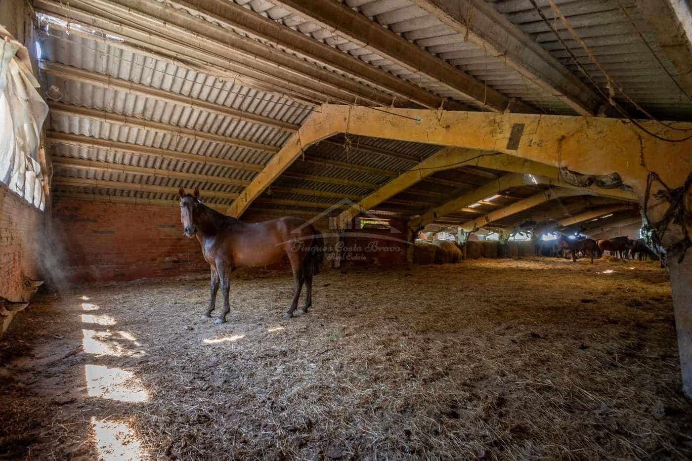 23 sypialnia Finka/Dom wiejski na sprzedaż w Figueres z garażem - 11 000 000 € (Ref: 9115552)