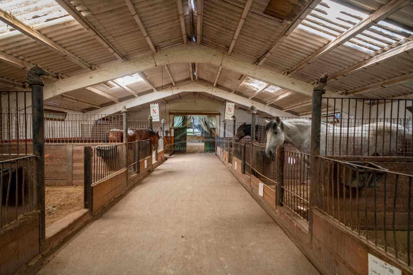 23 sypialnia Finka/Dom wiejski na sprzedaż w Figueres z garażem - 11 000 000 € (Ref: 9115552)