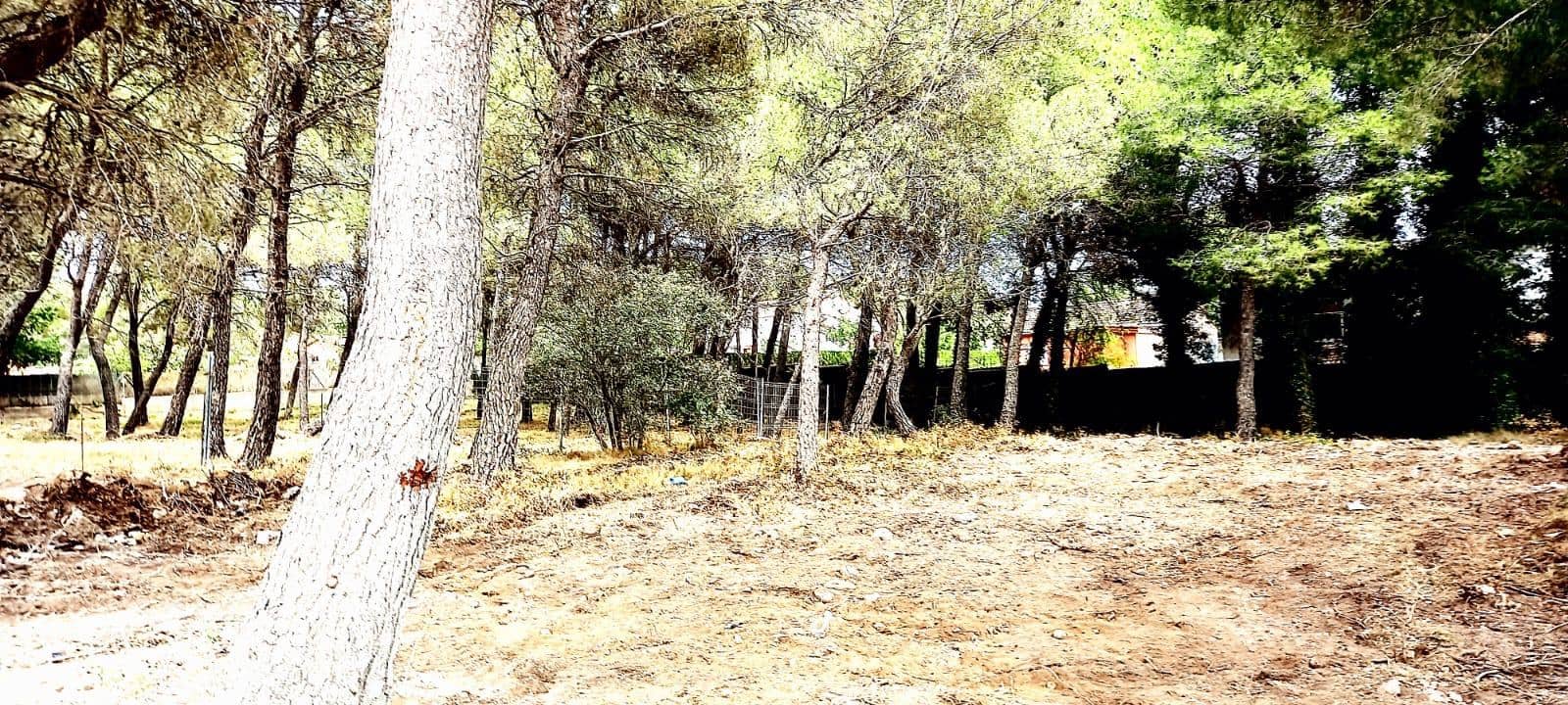 Building Plot for sale in Cabra del Camp - € 50,000 (Ref: 9720837)