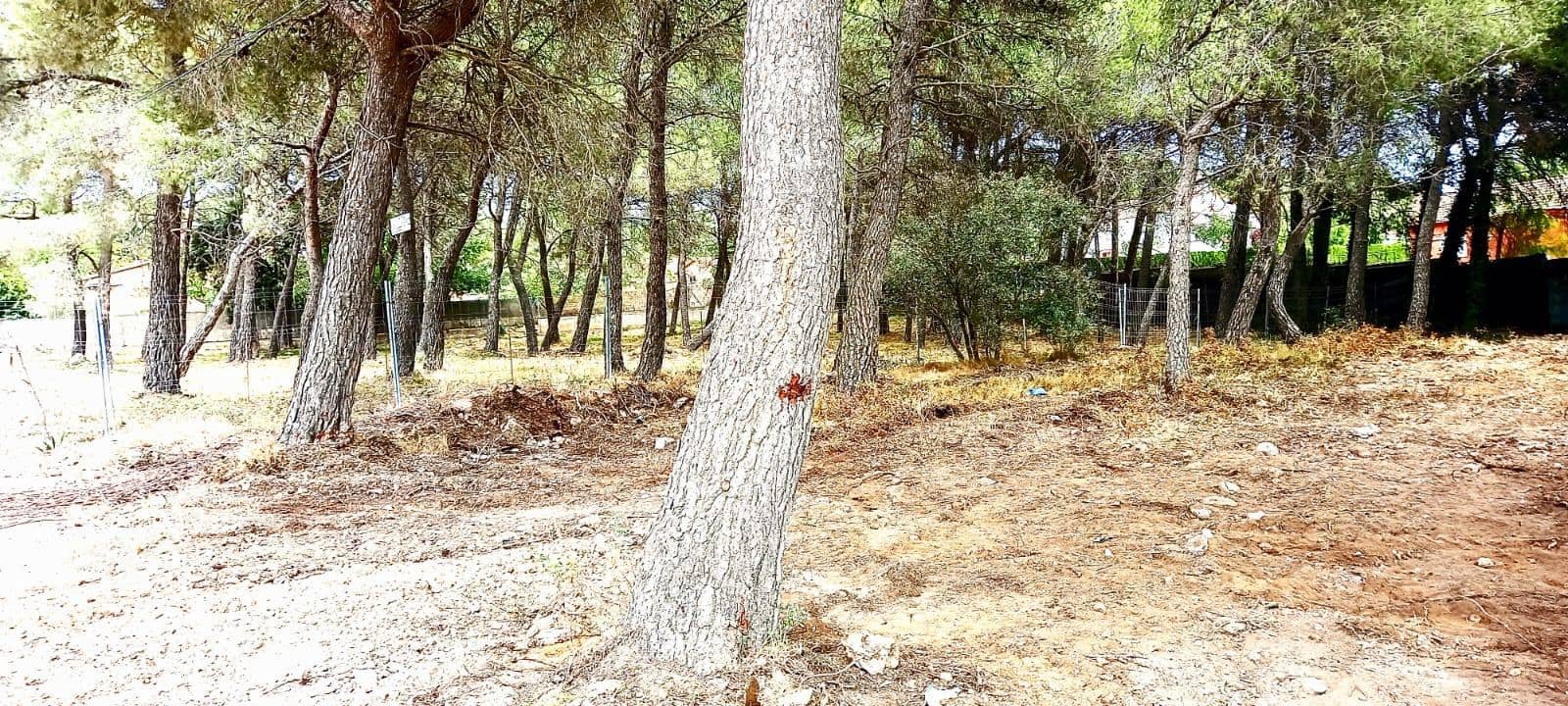 Building Plot for sale in Cabra del Camp - € 50,000 (Ref: 9720837)