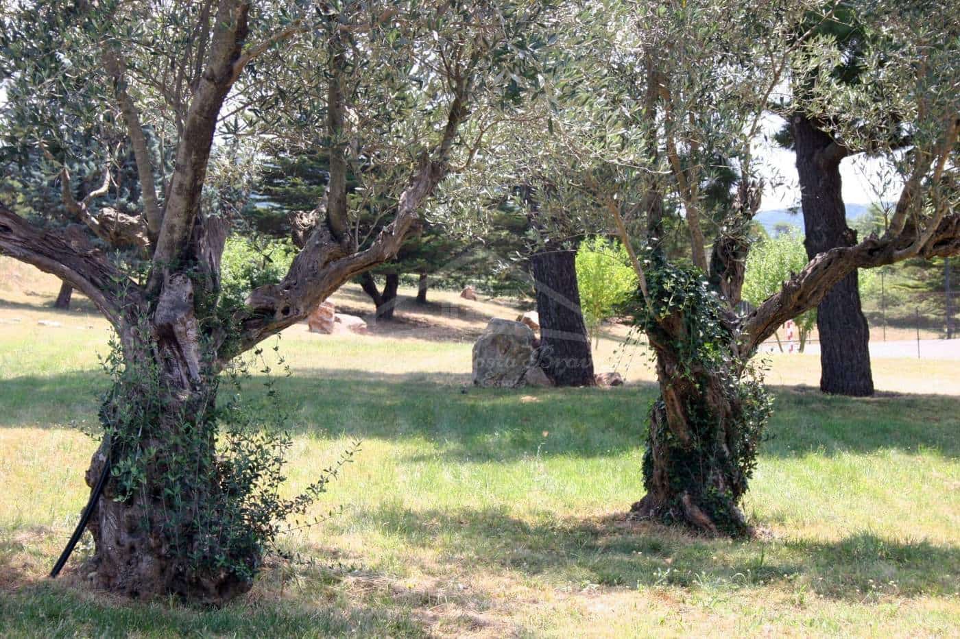 12 sypialnia Finka/Dom wiejski na sprzedaż w Santa Cristina d'Aro z garażem - 1 800 000 € (Ref: 9795071)