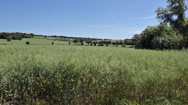 Quinta/Casa Rural para venda em Caldes de Malavella - 500 000 € (Ref: 9807002)