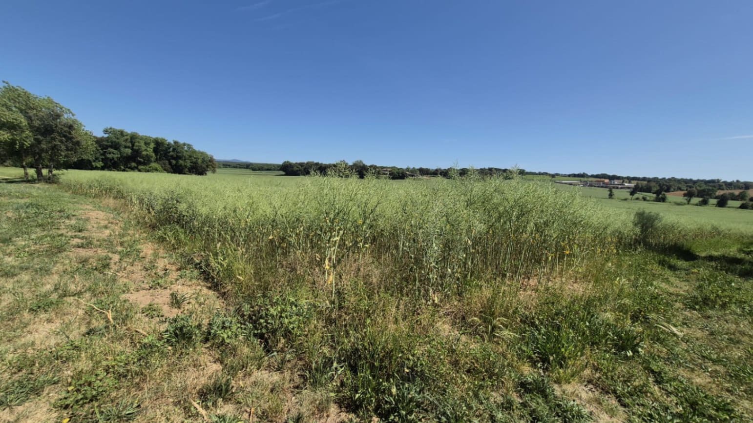 Quinta/Casa Rural para venda em Caldes de Malavella - 500 000 € (Ref: 9807002)