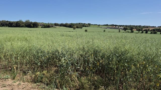 Quinta/Casa Rural para venda em Caldes de Malavella - 500 000 € (Ref: 9807002)