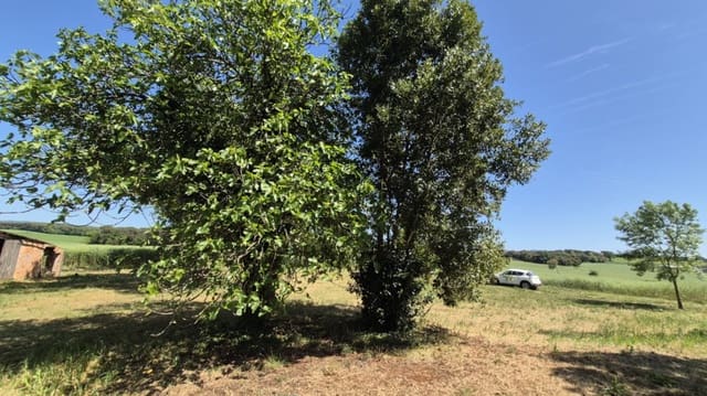 Quinta/Casa Rural para venda em Caldes de Malavella - 500 000 € (Ref: 9807002)