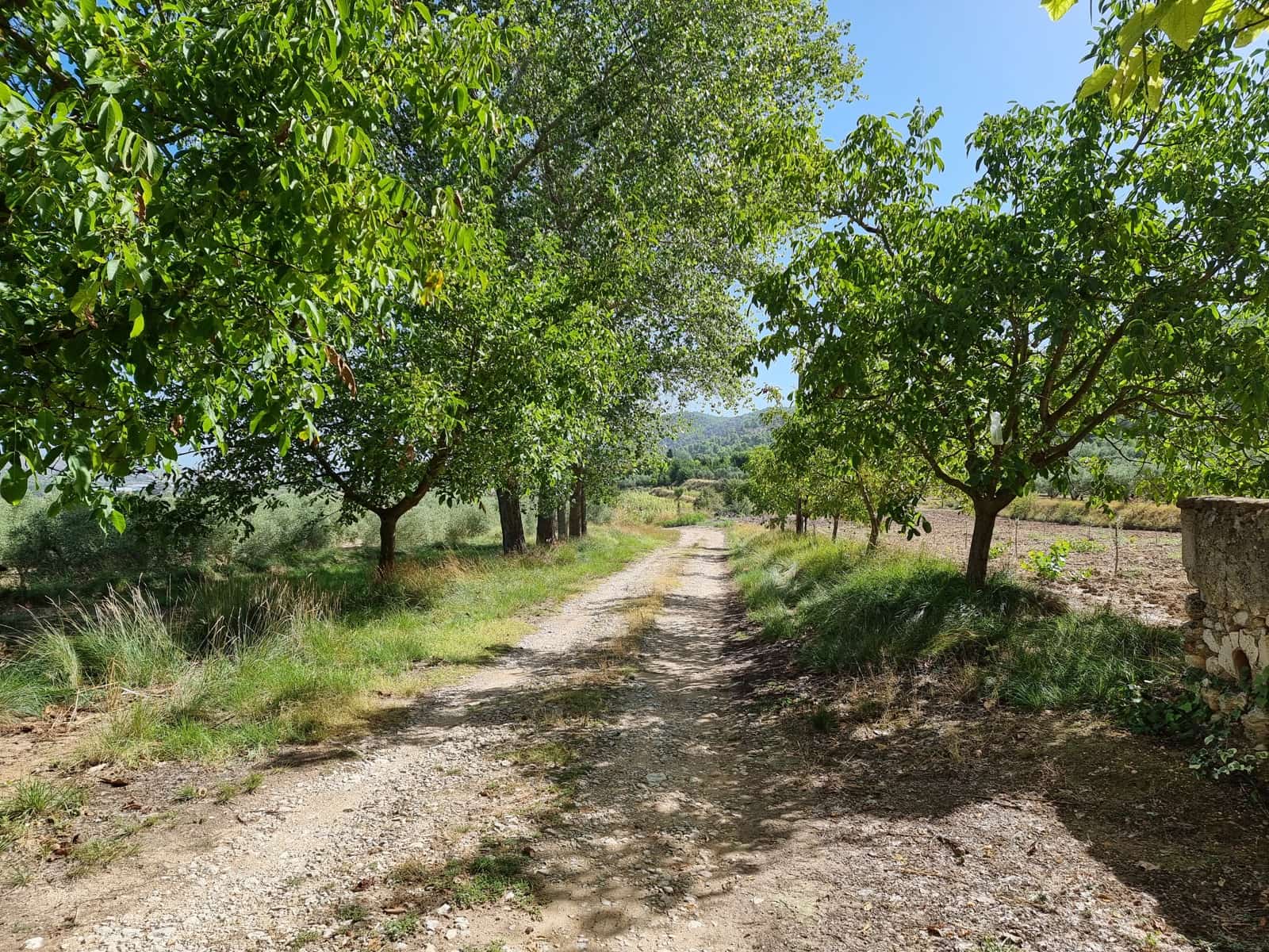 12 soveværelse Finca/Landehus til salg i Bocairent med swimmingpool garage - € 895.000 (Ref: 7058359)