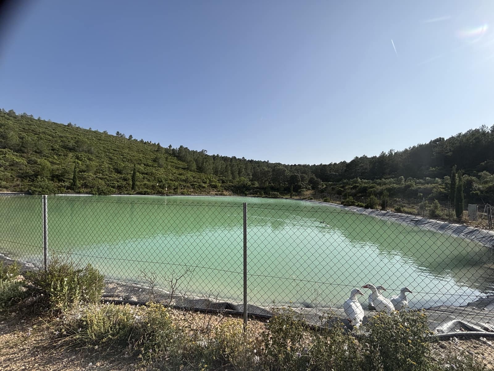 6 soveværelse Finca/Landehus til salg i Enguera - € 1.100.000 (Ref: 9074390)